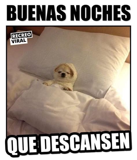 buenas noches meme